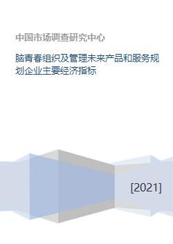 脑青春 企业管理服务与未来产品规划的核心经济指标解析